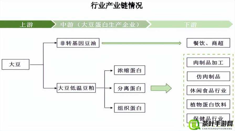 大豆行情网 51dadou2024 ：洞察未来大豆市场走势的关键平台