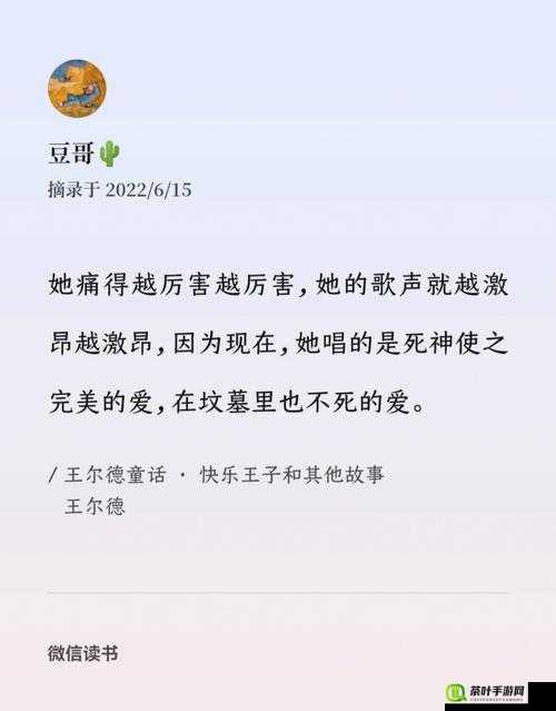 天美艷母的独特魅力与非凡故事