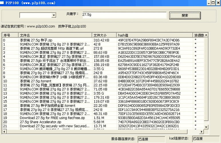 P2P 种子搜索神器：高效精准的资源查找必备工具