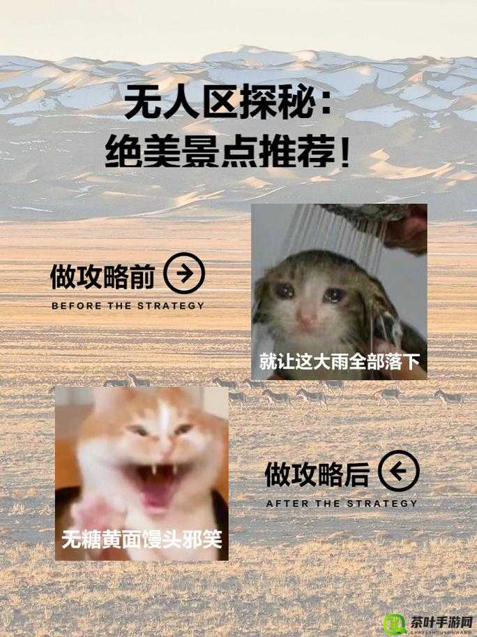 蜜桃无人区一码二码：探寻神秘背后的未知精彩