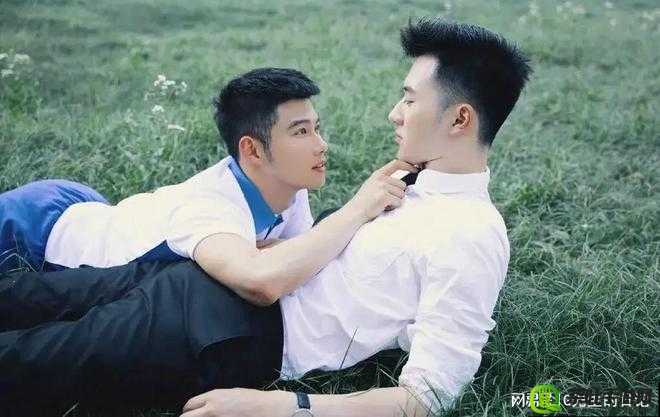 关于 freeg gay sex gv tv 的相关探讨与呈现